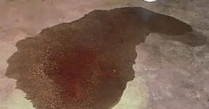 transmission fluid leak color