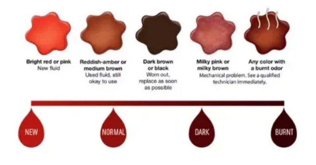 transmission fluid leak color