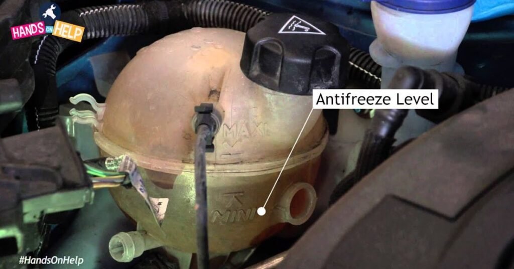 do cars need antifreeze