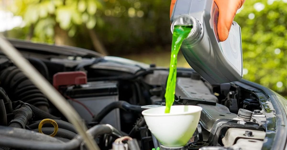 do cars need antifreeze